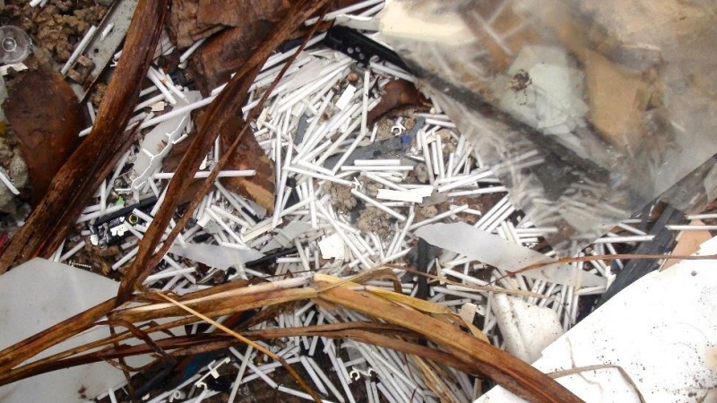 File:120515-HKNT-Closeup of CCFLs.jpg